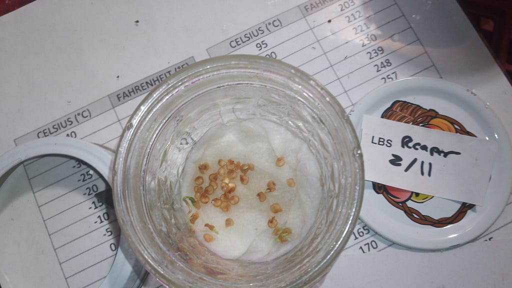 Germination 2020
