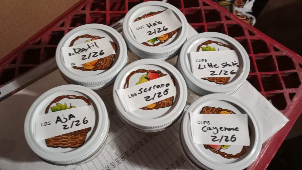 moreSeeds