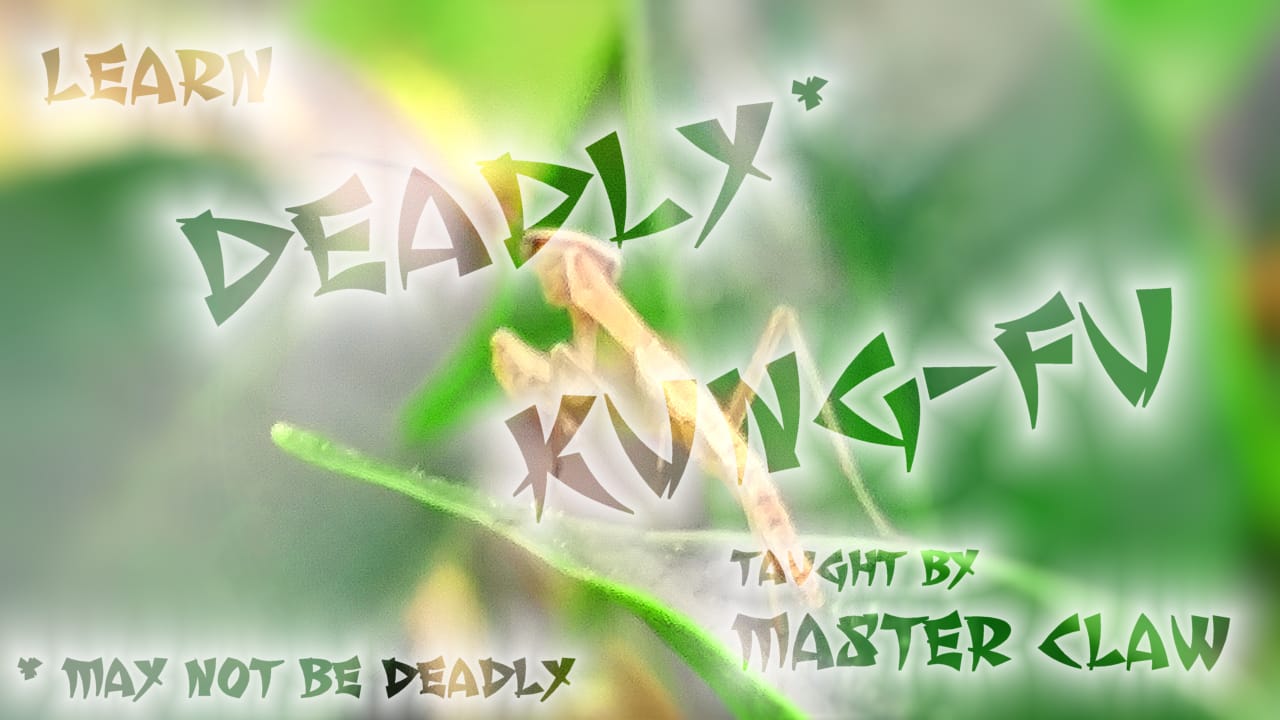 kuingfu