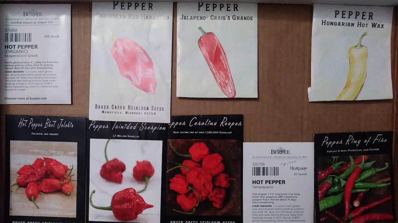 Seed Stock 2018