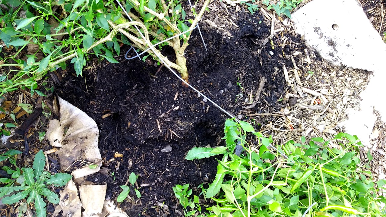 damage3_10072018