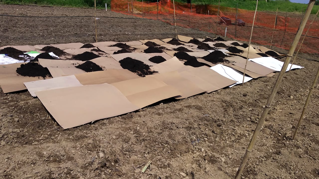 layingCardboard