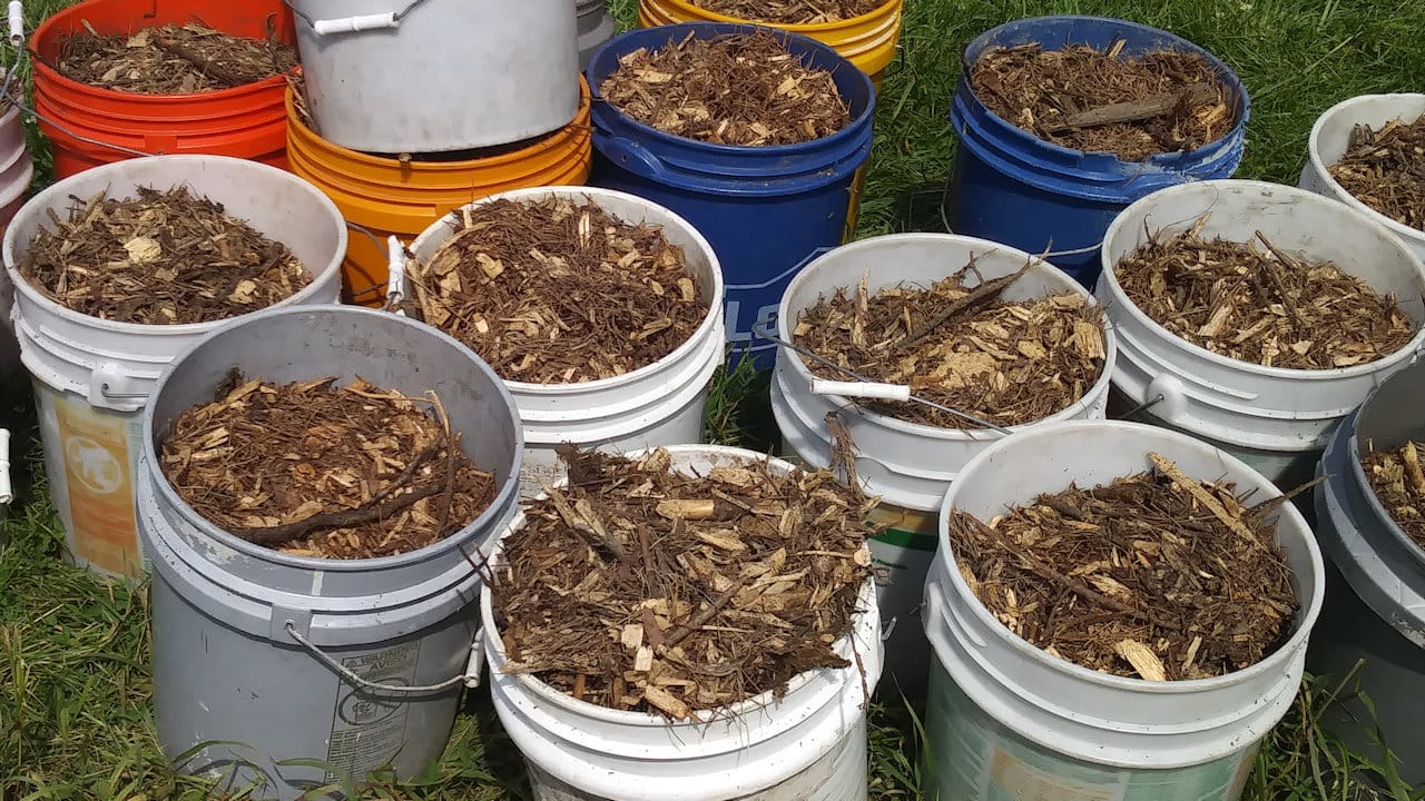 mulch
