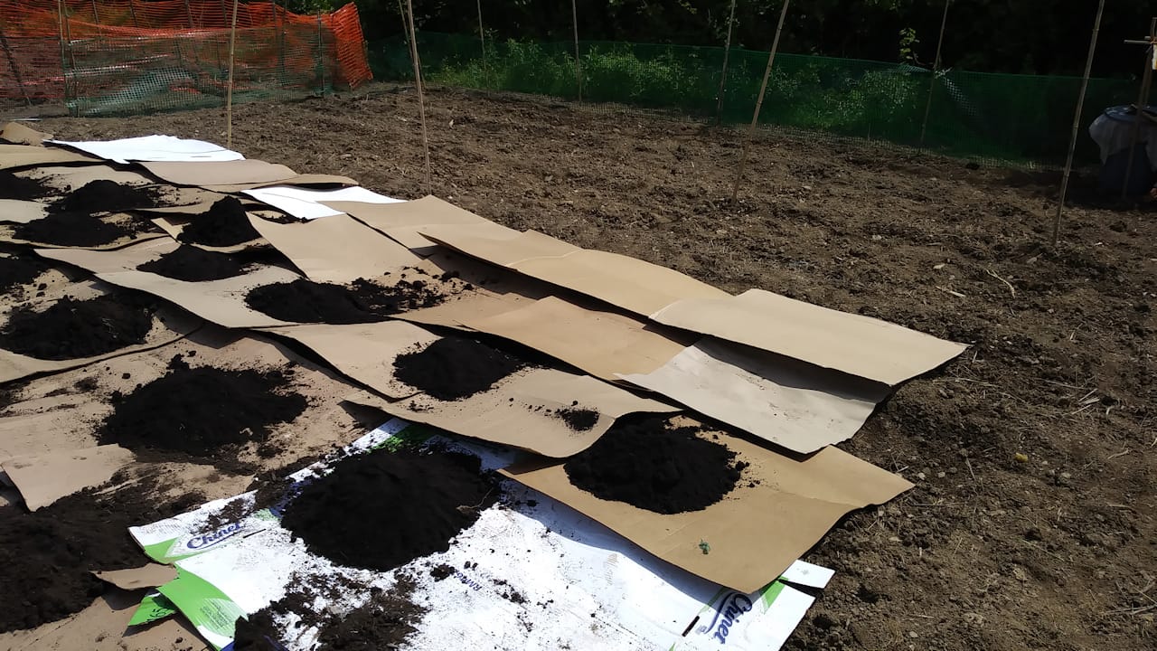 plot2