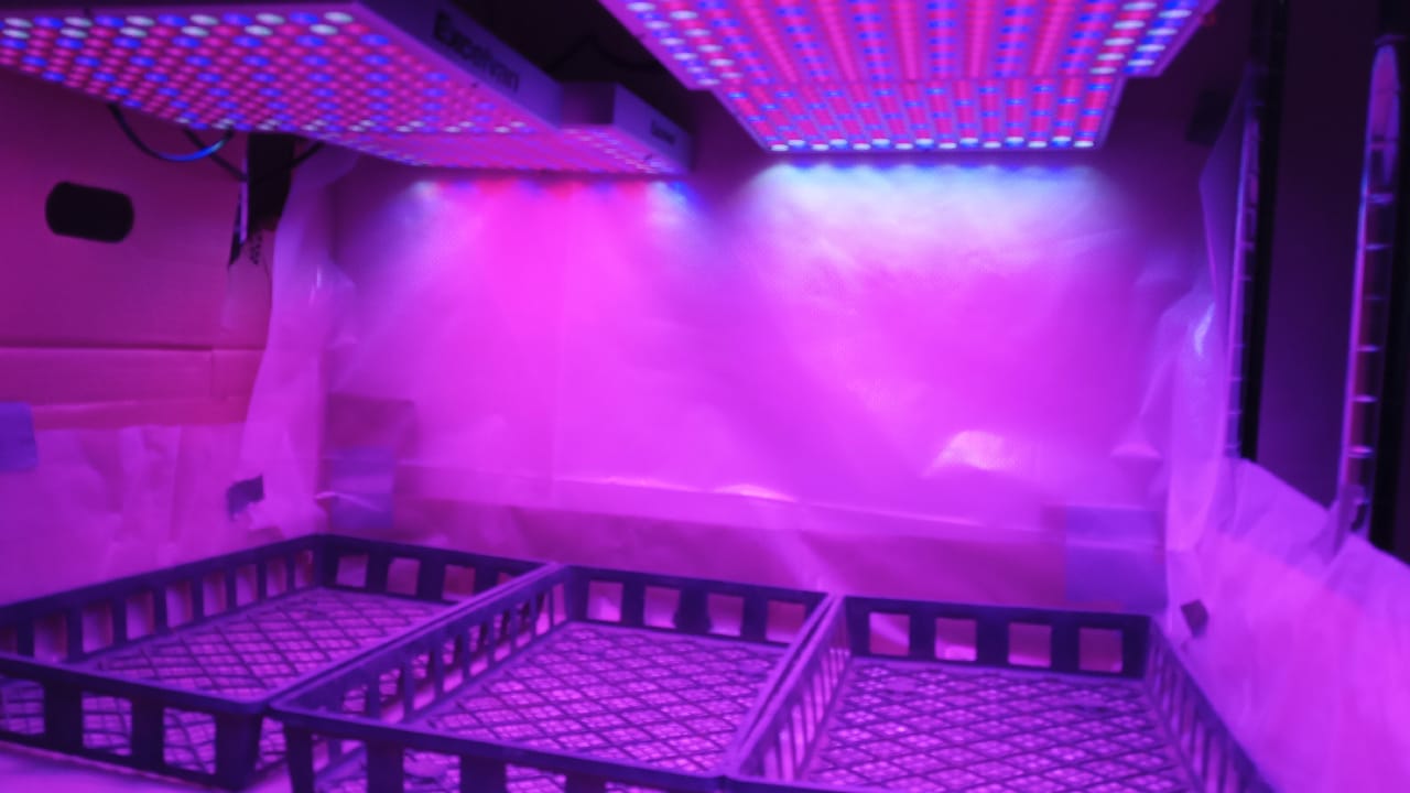 interior1
