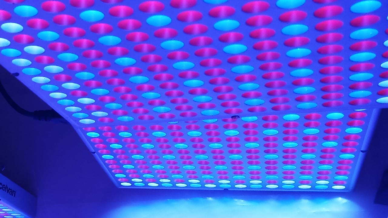 ledLit