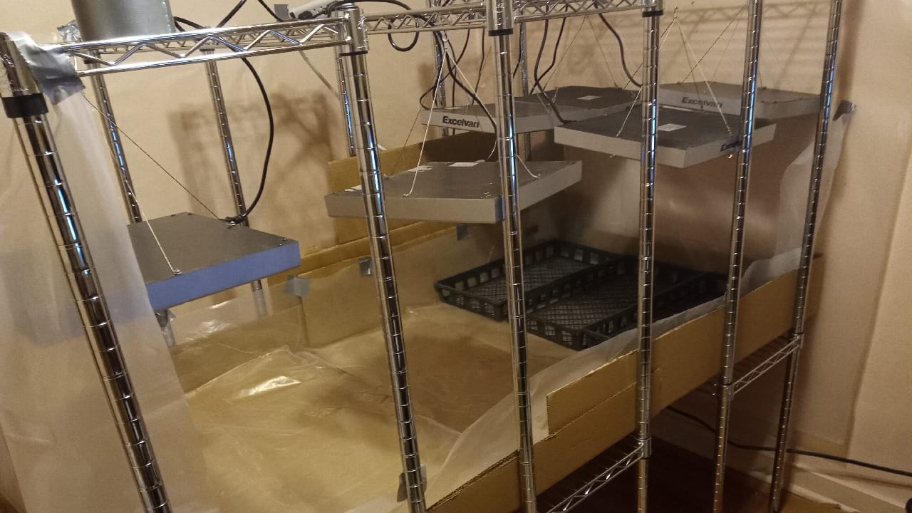 rig2