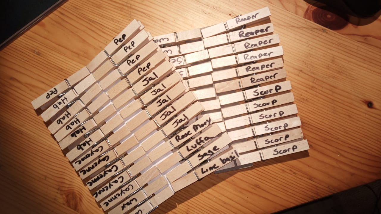 clothesPins