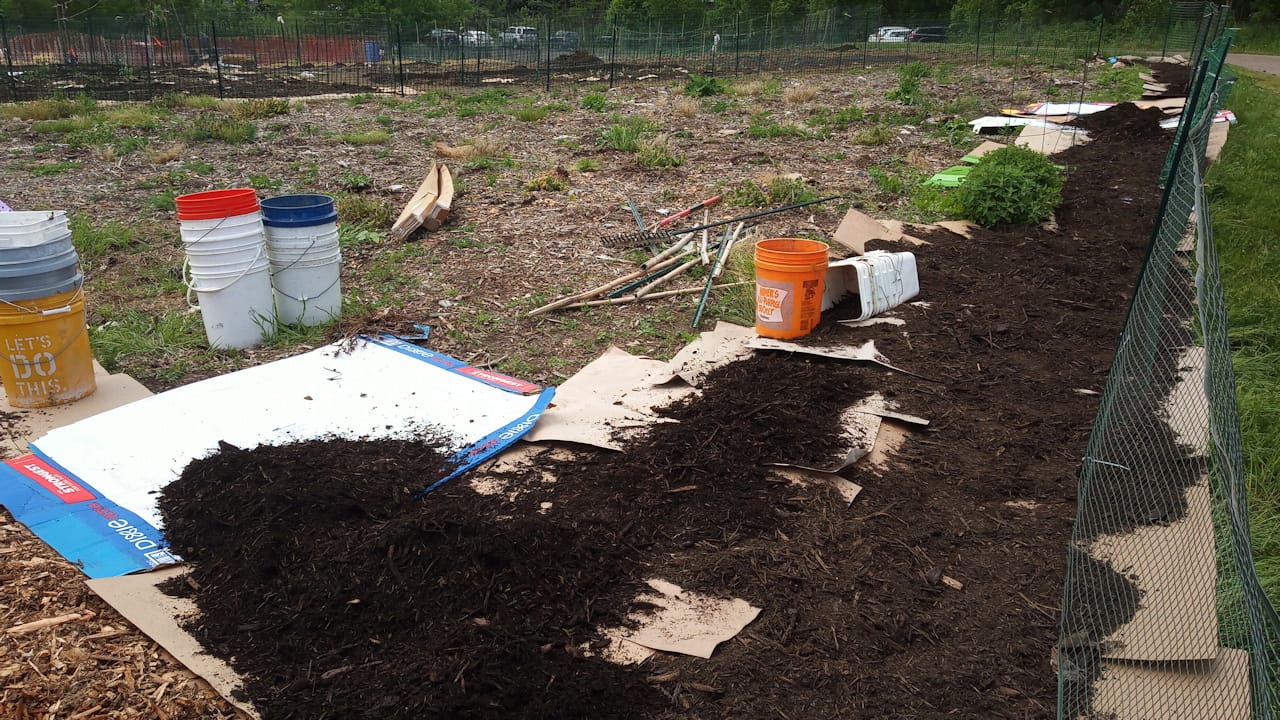 cardboardMulch