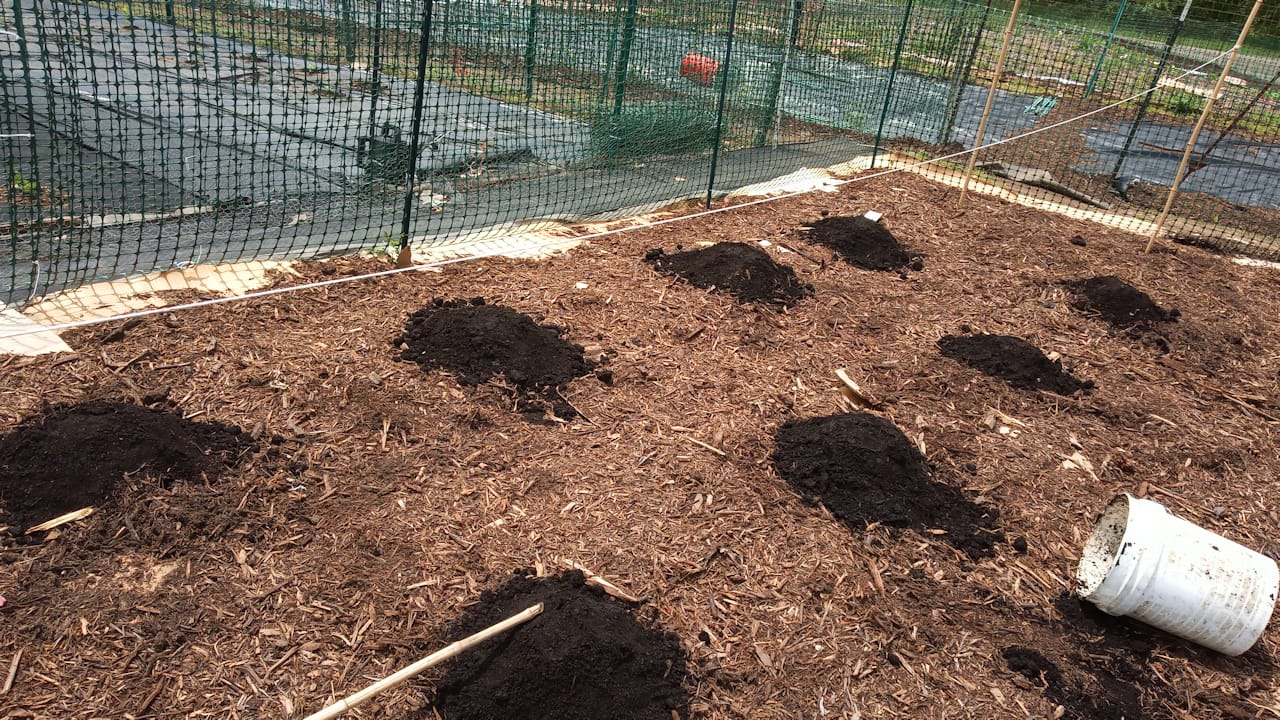compostMounds