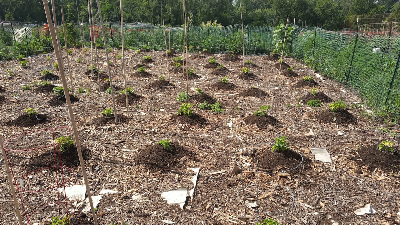 Pot1Compost