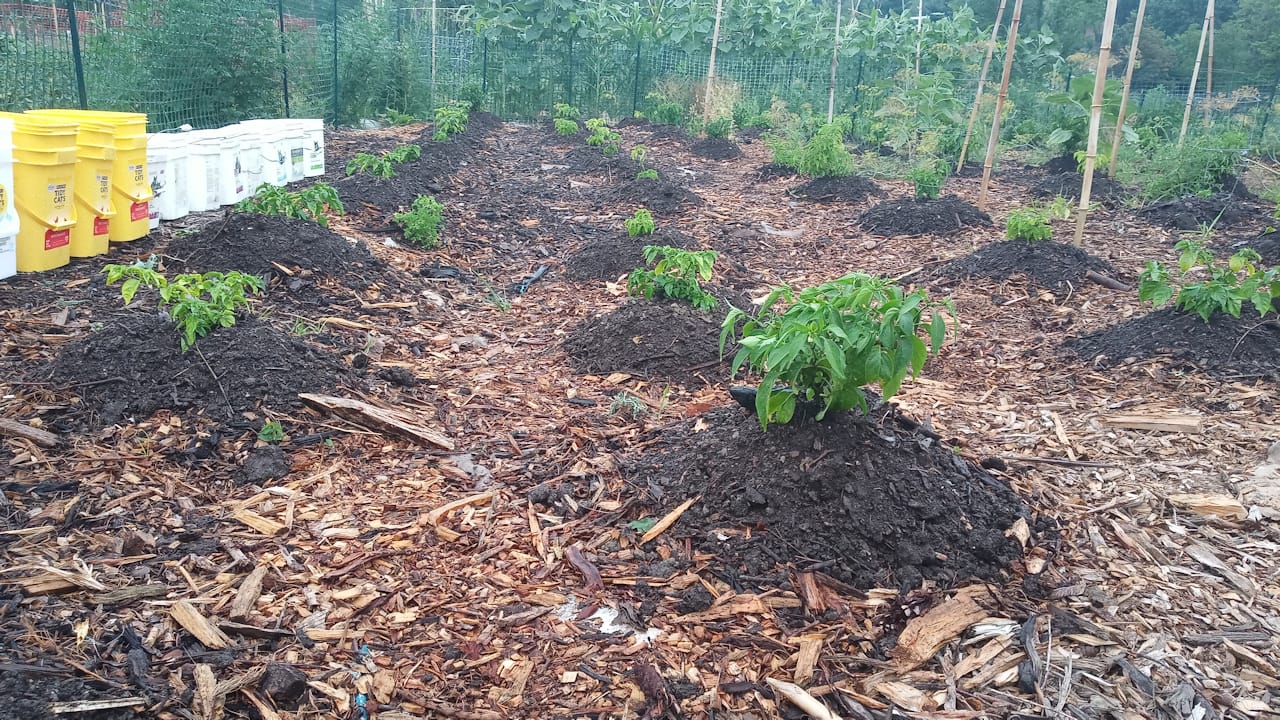 plotBCompost