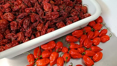 Dried Superhots