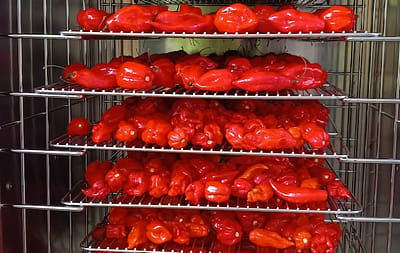 Dried Superhots - Image 3