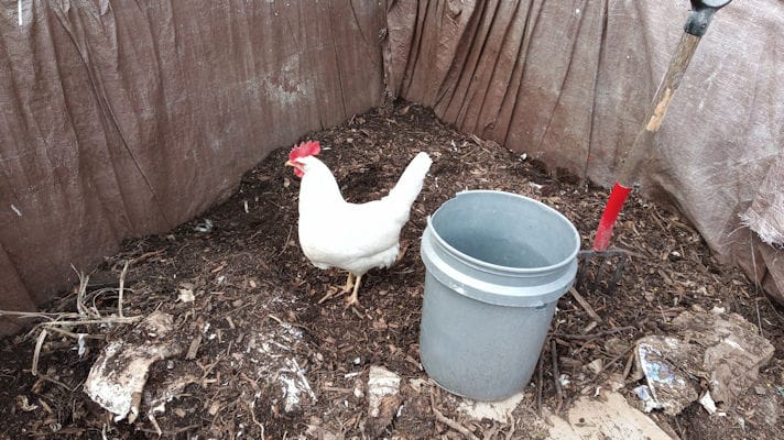 1_compost