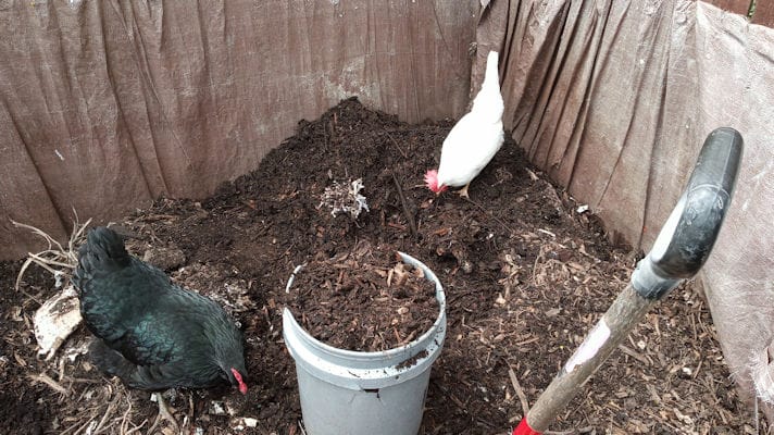 2_compost