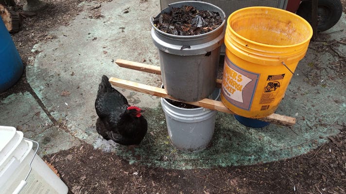 3_compost