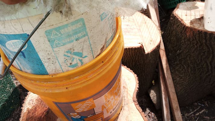8_compost