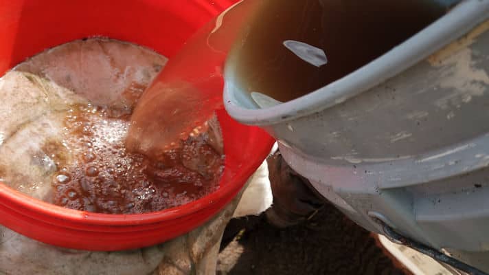 9_compost