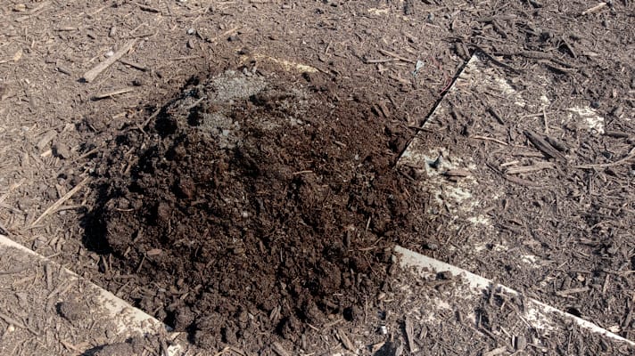 mound