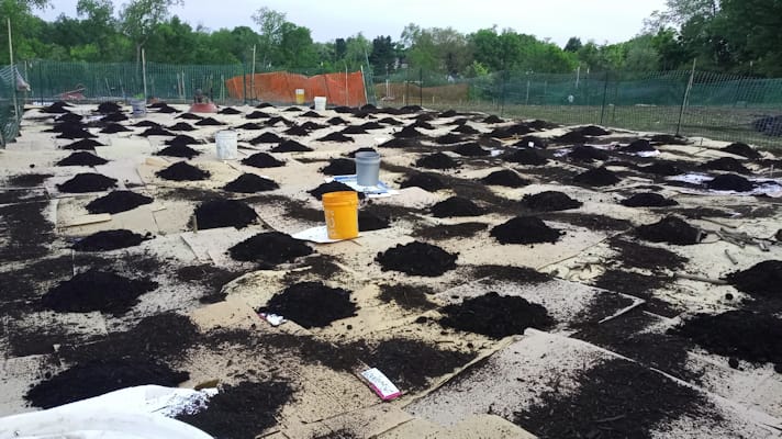 plot1_startMulch