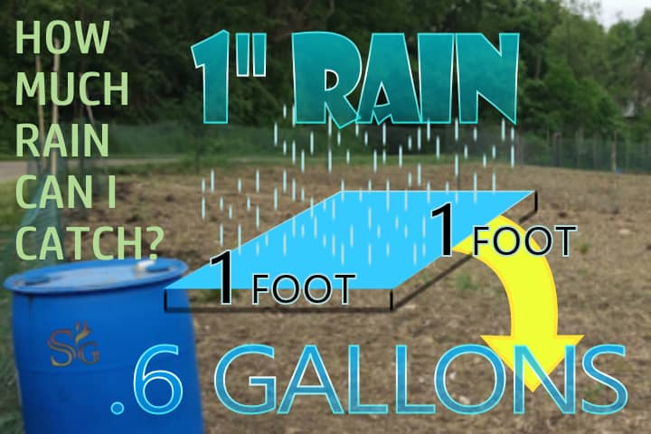 rain